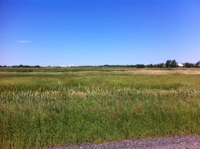 view toward the U of R